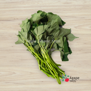Sweet Potato Leaf 蕃薯叶 ± 250g/PKT