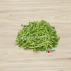 Pea Sprout 豆苗  ± 100g/PKT