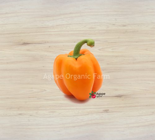 橙色灯笼椒3
